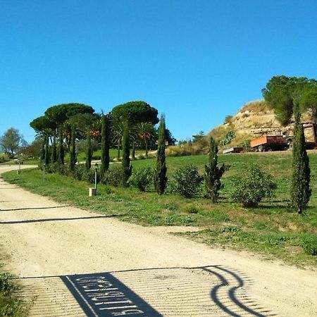 Agriturismo Il Poderino Villa Tarquinia Exterior foto