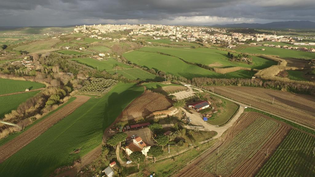 Agriturismo Il Poderino Villa Tarquinia Exterior foto