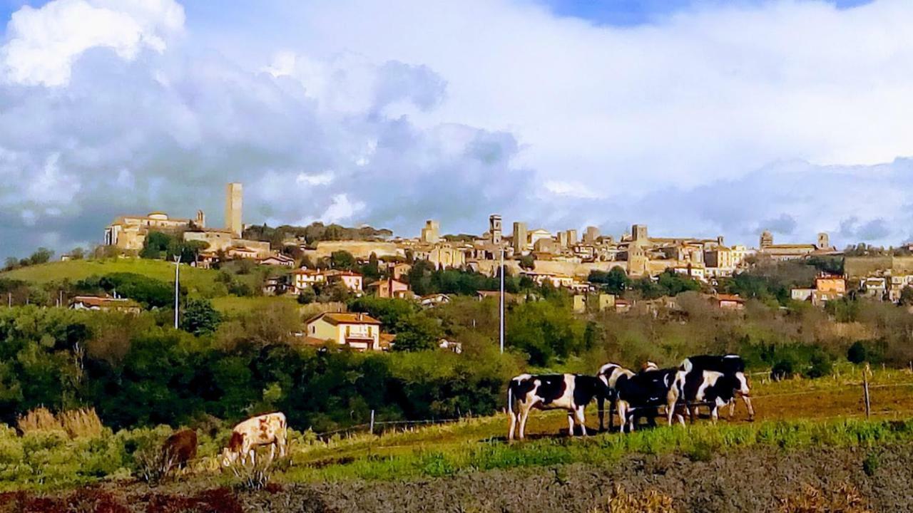 Agriturismo Il Poderino Villa Tarquinia Exterior foto